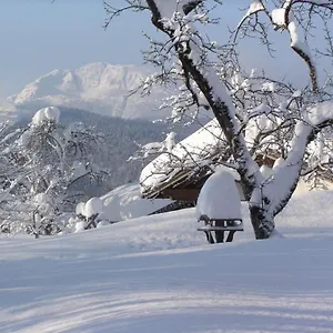 https://haus-schmiederer.com-bavaria.com
